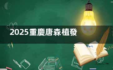 2025重慶唐森植發(fā)(南坪總院)價(jià)格表公布：毛囊檢測(cè)2元起|內(nèi)含各種植發(fā)價(jià)格